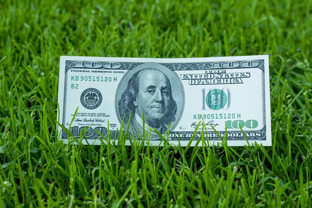 The Real Cost of DIY Landscaping vs Hiring a Pro: What You Need to Know